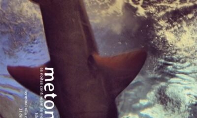 Metonímia mistura emo e rock alternativo com ecos de Foo Fighters e pós-punk. Letras urbanas e melancólicas falam de amores, ônibus e noites em SP.