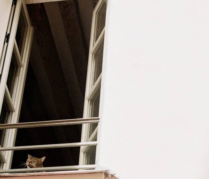 Something soft, do trio irlandês M(h)aol, mistura fragilidade e ruído em canções sobre machismo, medo e violência, com pós-punk tenso, microfonias e vocal intenso.