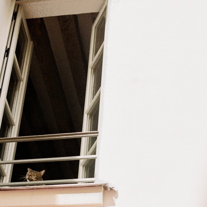 Something soft, do trio irlandês M(h)aol, mistura fragilidade e ruído em canções sobre machismo, medo e violência, com pós-punk tenso, microfonias e vocal intenso.