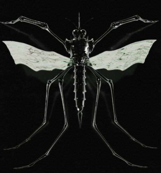 Ouvimos: Wax Head – “Gnat”