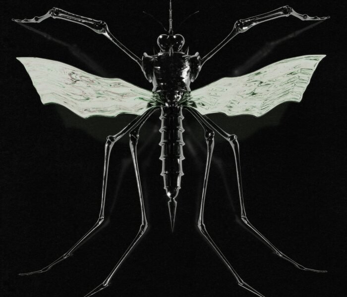 Ouvimos: Wax Head – “Gnat”