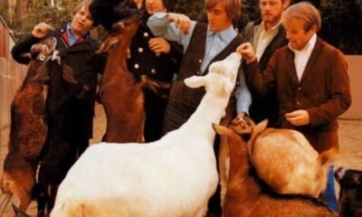 Al Jardine (Beach Boys): "Aquela cabra branca da capa de 'Pet sounds' me mordeu"