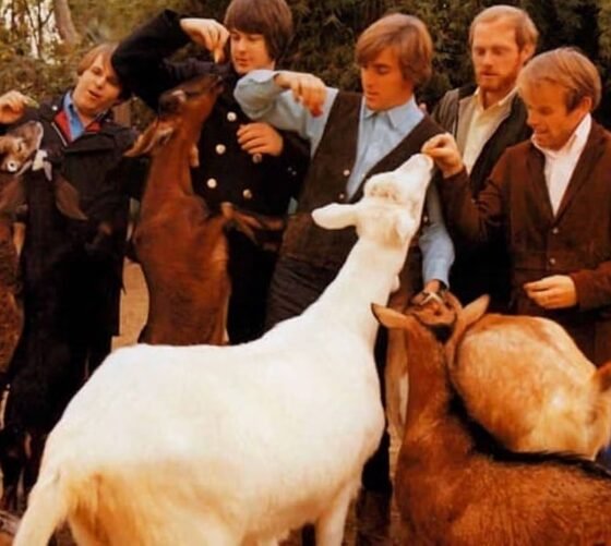 Al Jardine (Beach Boys): "Aquela cabra branca da capa de 'Pet sounds' me mordeu"