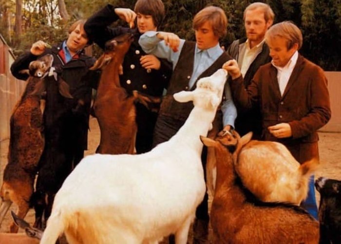 Al Jardine (Beach Boys): "Aquela cabra branca da capa de 'Pet sounds' me mordeu"