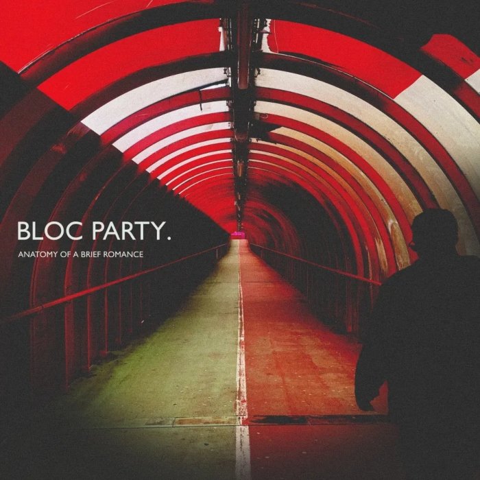 Capa do álbum do Bloc Party, Anatomy of a brief romance