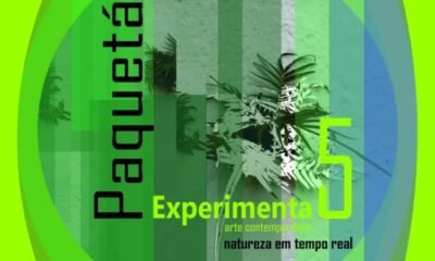 Em Paquetá (RJ), música ao vivo feita a partir do som das plantas