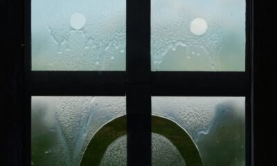 Resenha: alse Advertising – “The sorry window”