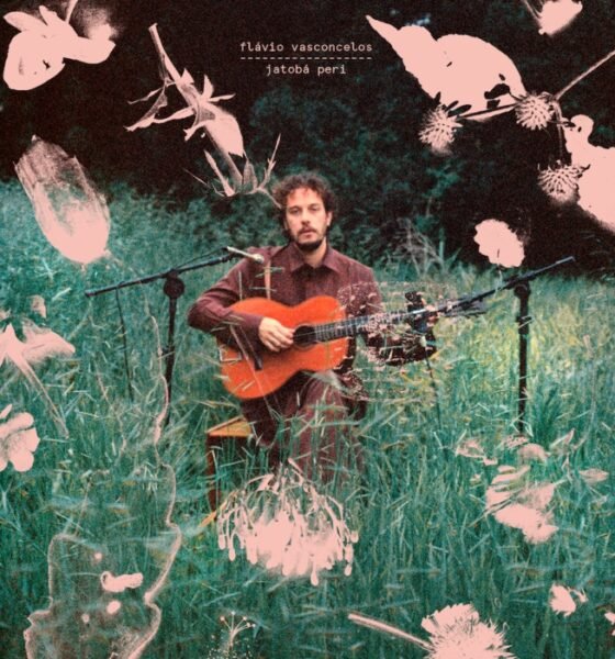 Resenha: Flávio Vasconcelos – “Jatobá peri”