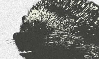 Resenha: Ouriço – “Mantenha distância” (EP)
