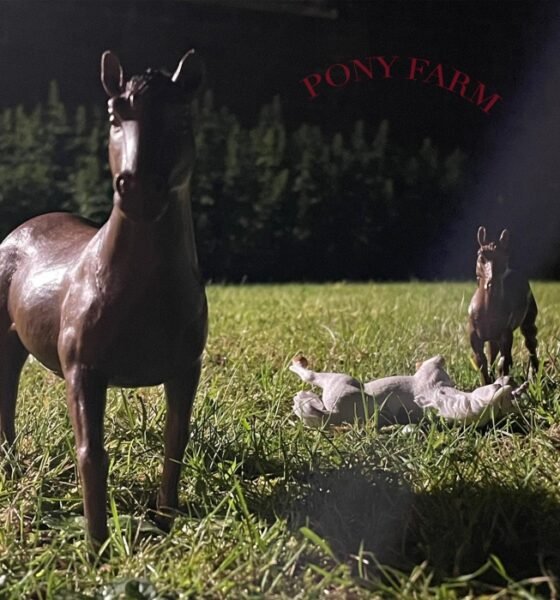 Resenha: Swine Tax – “Pony farm” (EP)