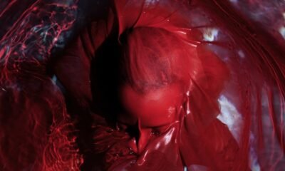 Resenha: Blackwater Holylight – “Not here, not gone”
