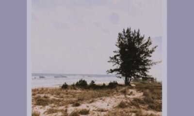 Resenha: Duo Violeta – “Mar pequeno”