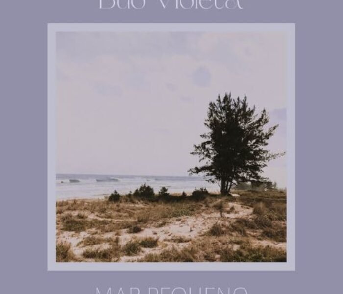 Resenha: Duo Violeta – “Mar pequeno”