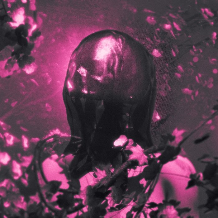 Resenha: Pinknoise – “Flesh and bone” (EP)