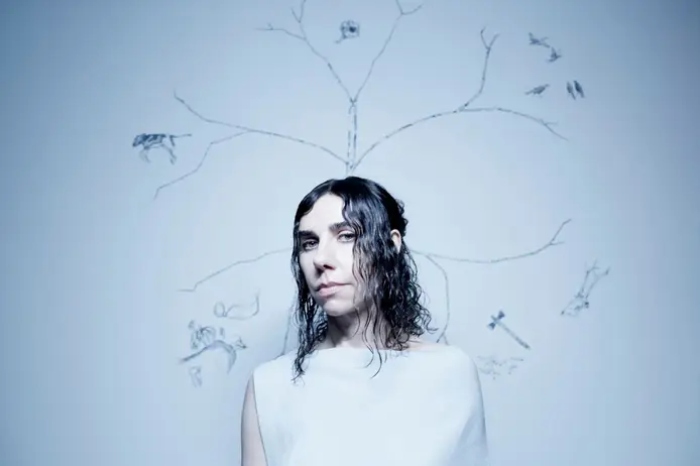 PJ Harvey (Foto: Steve Gullick / Divulgação)
