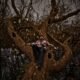 Resenha: Wills Tevs – “Infinitas___lacunas”