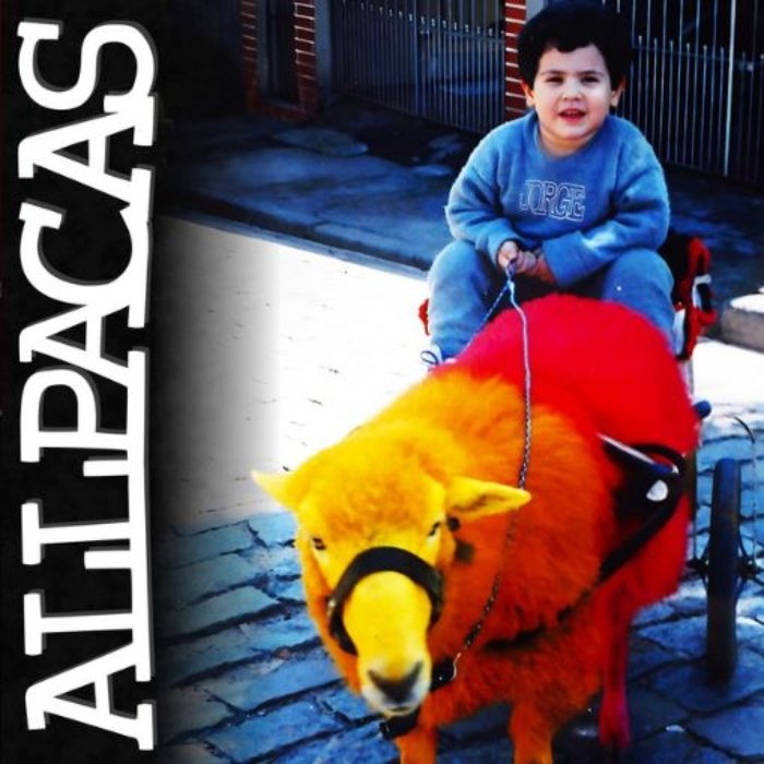 Resenha: Allpacas – “Jorge”