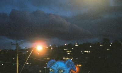 Resenha: Divers – “Odd dog in the capital”