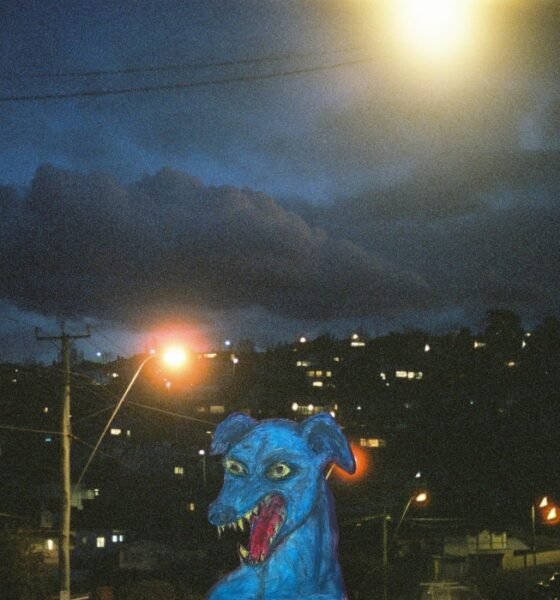 Resenha: Divers – “Odd dog in the capital”