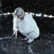 Resenha: Erin LeCount – “Pareidolia” (EP)