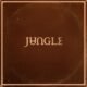 Capa do álbum Sunshine, do Jungle