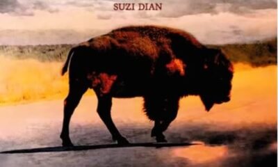 Resenha: Robert Plant com Suzi Dian – “Saving grace”