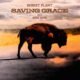 Resenha: Robert Plant com Suzi Dian – “Saving grace”