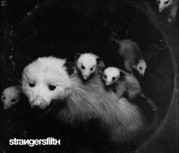 Resenha: Strangersfilth – “Filth” (EP)