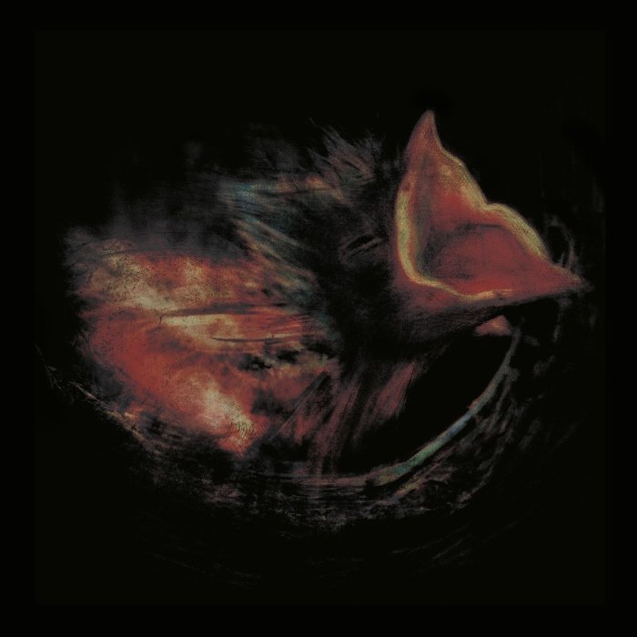 Capa do álbum Nobody’s coming to save you, da banda Gurriers