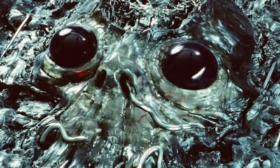 Resenha: King Gizzard and The Lizard Wizard – “Alien metal”