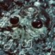 Resenha: King Gizzard and The Lizard Wizard – “Alien metal”