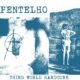 Resenha: Pentelho – “Third world hardcore (ao vivo)”