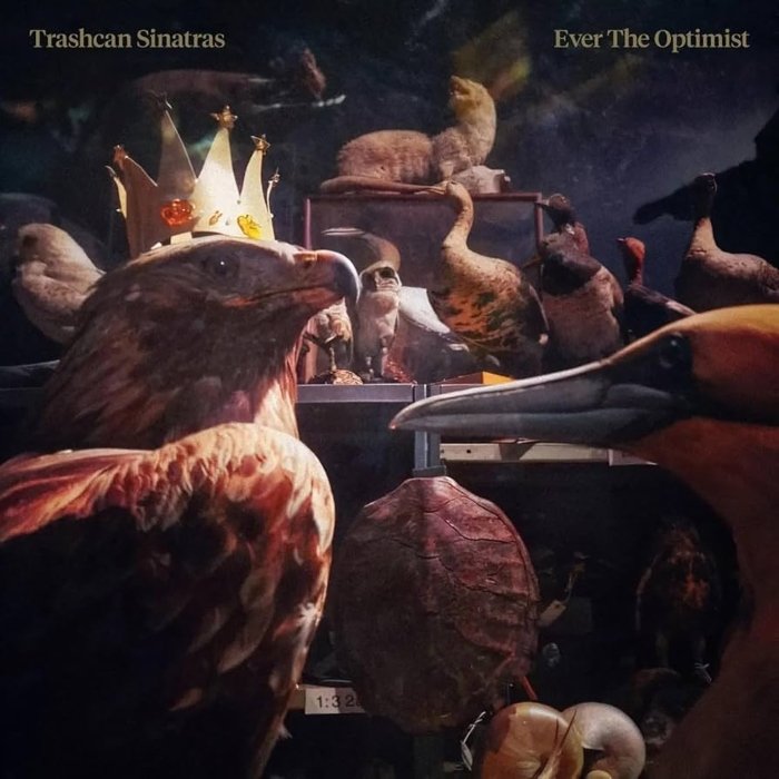 Resenha: Trashcan Sinatras – “Ever the optimist”