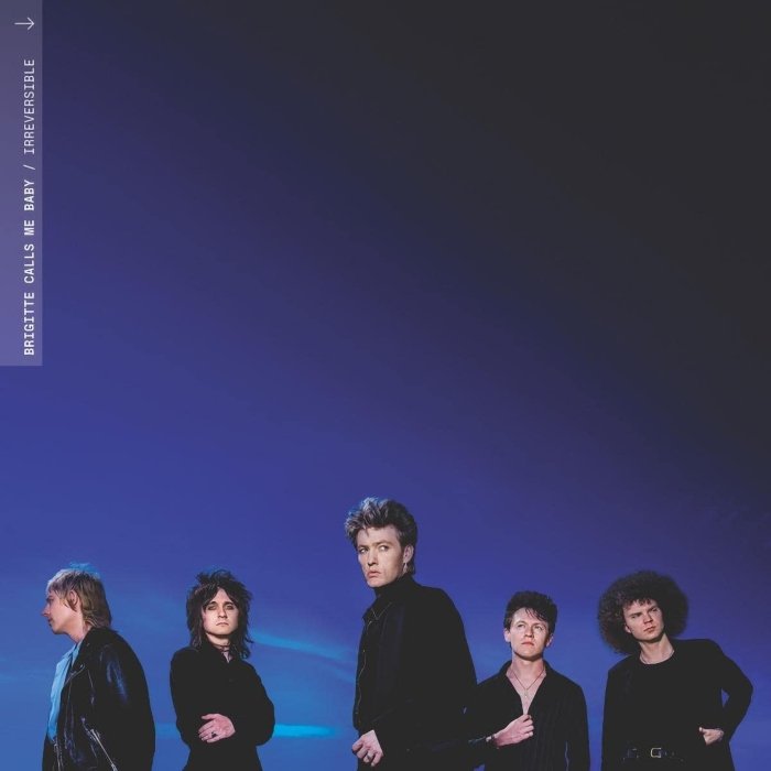 Resenha: Brigitte Calls Me Baby – “Irreversible”