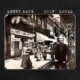 Resenha: Lenny Kaye - "Goin' local"