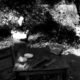 Resenha: Limbo7 – “Relíquias do ódio”