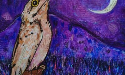 Em Ornitofagia, DJ Urutau mistura funk bruxaria, eletrônica e cantos de pássaros numa história de vingança das aves contra a destruição ambiental.
