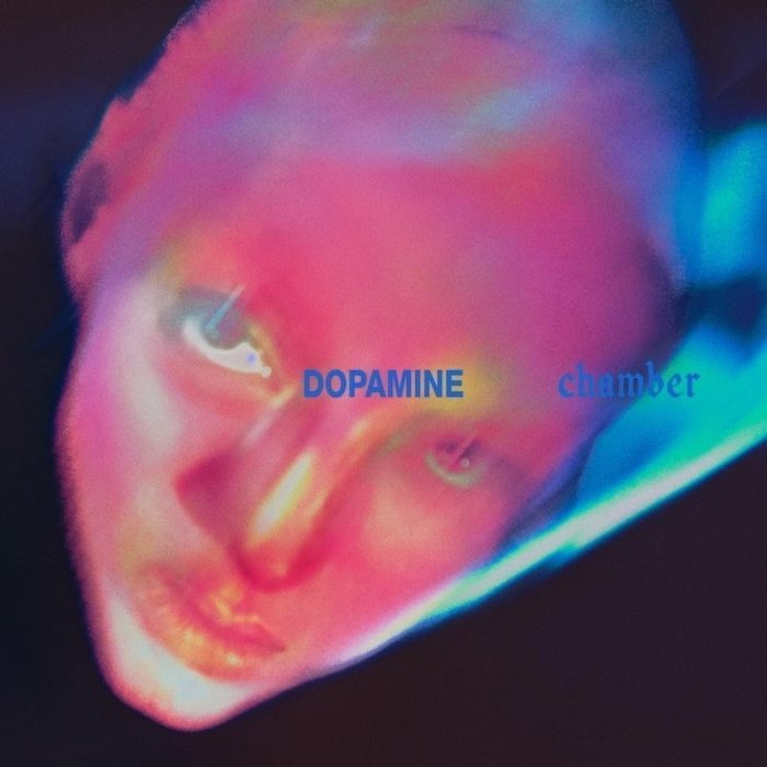 Capa do álbum Dopamine Chamber, da banda Fontaines D.C.