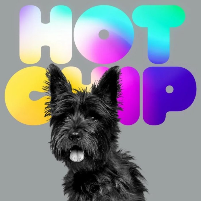 Capa do disco A Long Way From Kansas, do Hot Chip