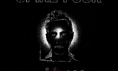 Resenha: Spike Fuck – “Evidence”